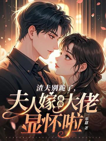 夫人嫁顶级大佬啦 乐恩 小说